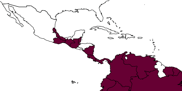map of Prionopelta dubia     Landino & Feitosa, 2020